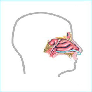 soluzione salina per lavare il naso al neonato