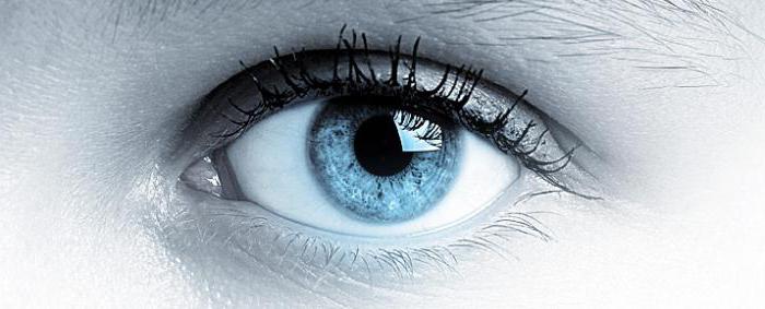 Convergenza degli occhi: definizione. Come vediamo? Funzioni dell'occhio