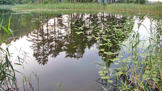 località di cura della regione di Vitebsk 