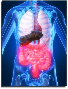 trattamento dei sintomi della sindrome dell'intestino irritabile