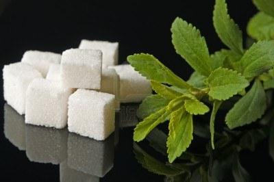 Stevia nel diabete mellito come sostituto dello zucchero